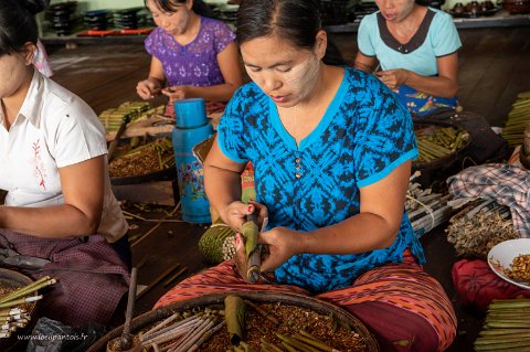 20191122__00289-169 Nap Pan, fabrique de cigares cheroot: chaque femme roule environ 800 à 1000 cigares par jour. C'est aussi un cigare plutôt fumé par les femmes en Birmanie